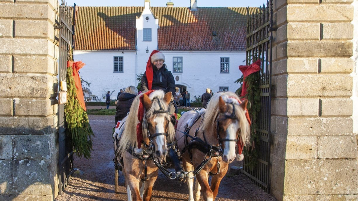 Julmarknad Skåne Stor guide hitta de bästa julmarknaderna här!